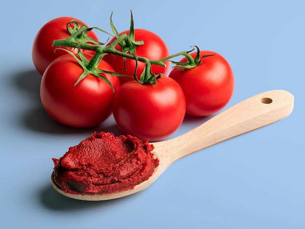 تصویر 1 از خرید رب گوجه فرنگی شادی + قیمت فروش استثنایی